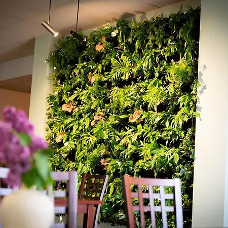 Anek מארנגובו