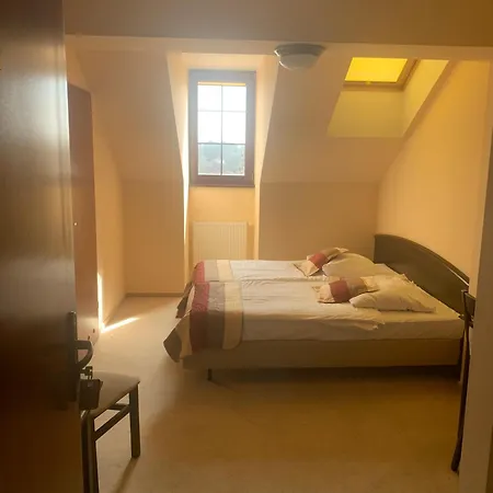 Anek מארנגובו